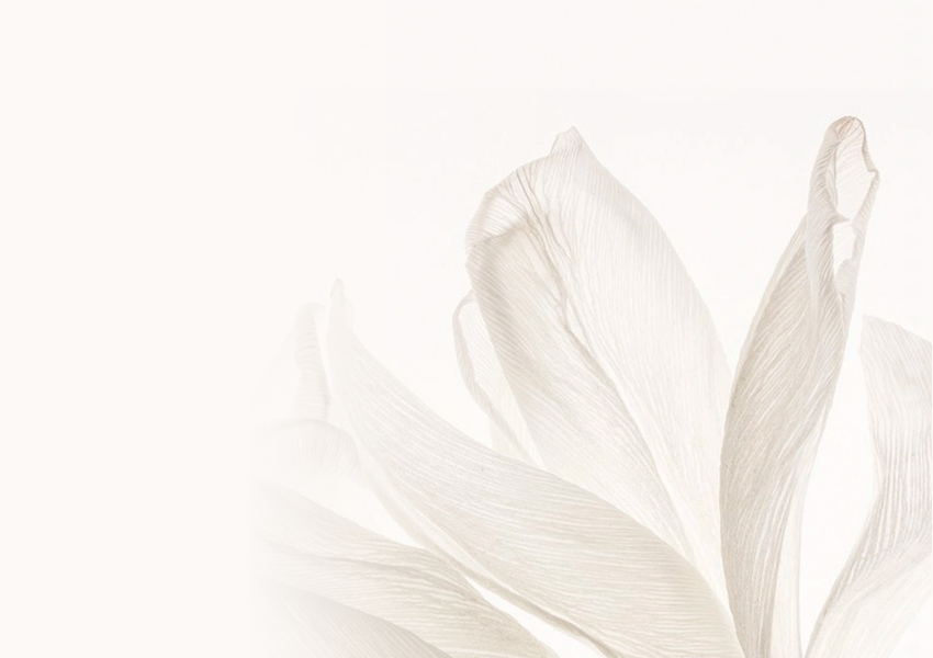 Zestaw butelek perfum